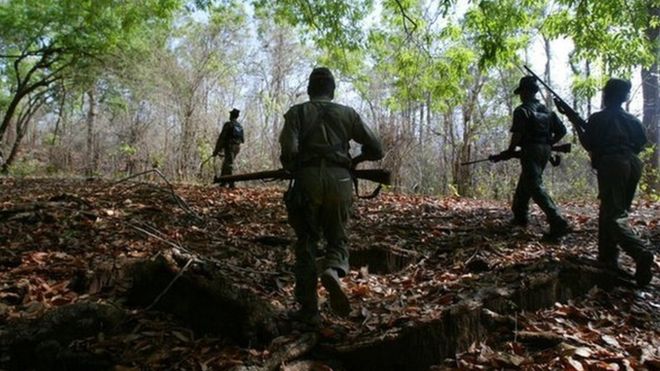 A Paramilitary Forest Security Force Needed To Combat Poaching