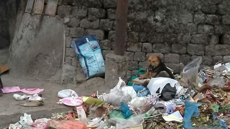 Piles of garbage in darjeeling