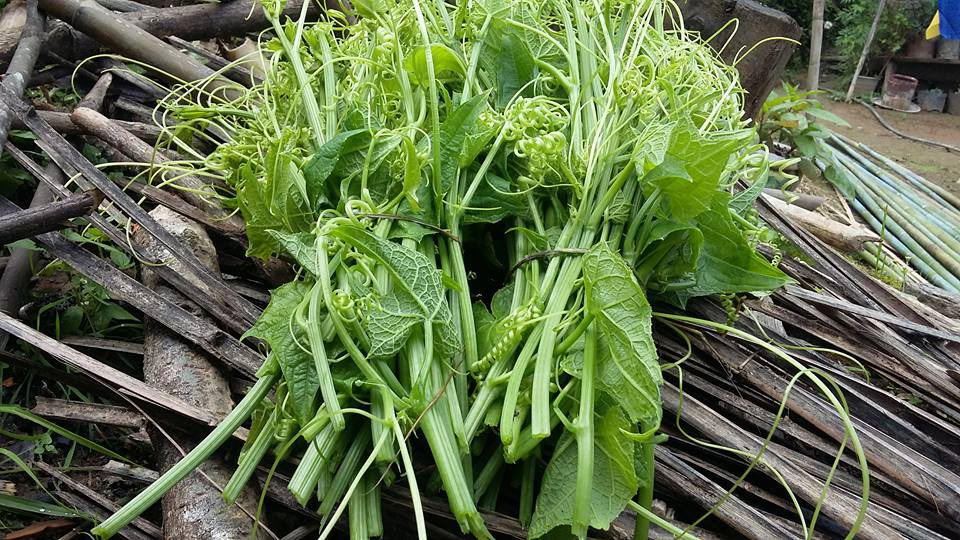 saag