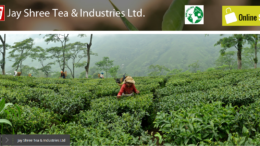 Risheehat Tea Darjeeling