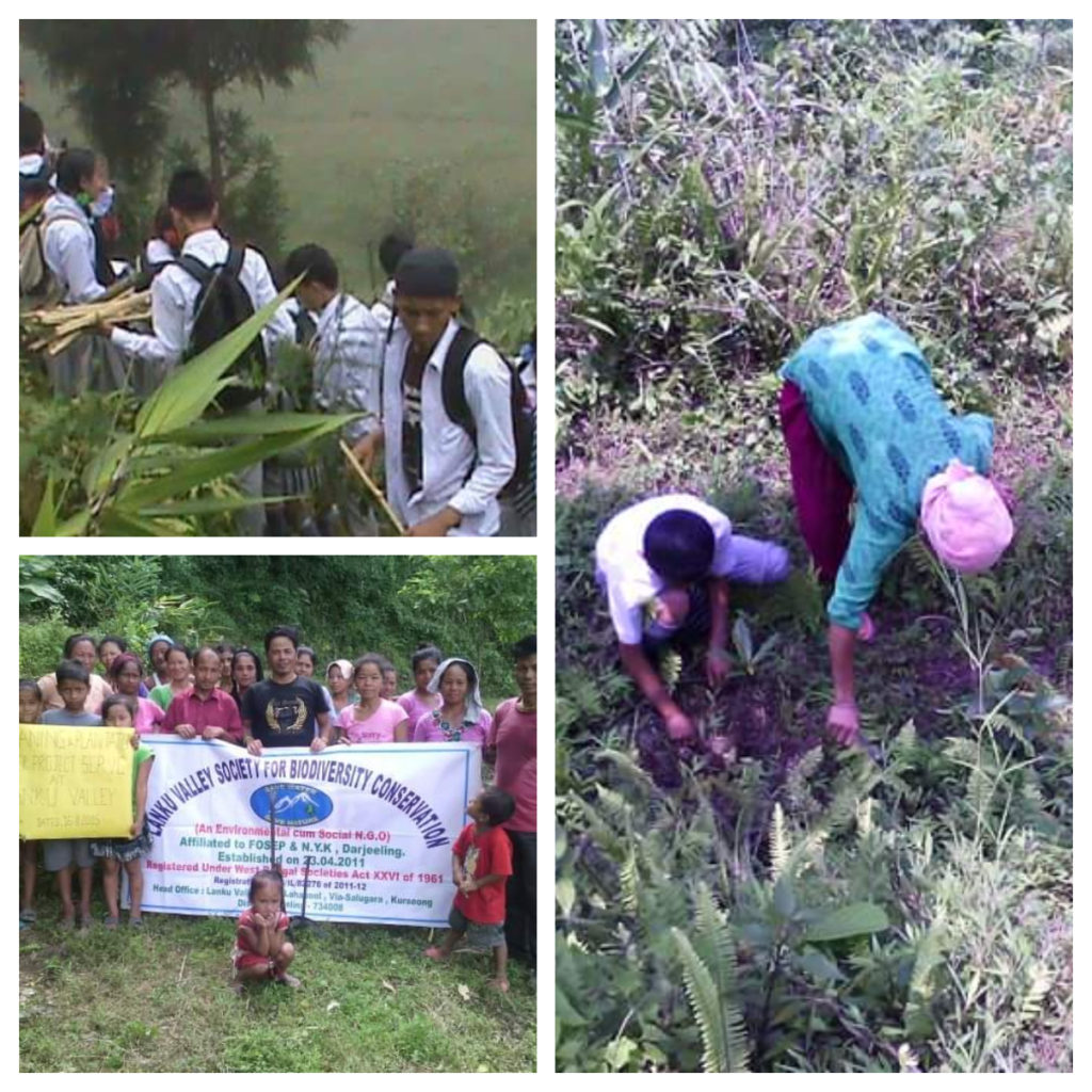 Biodiversity awareness programs and plantation activities