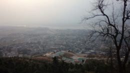 Darjeeling-nature-reclaims