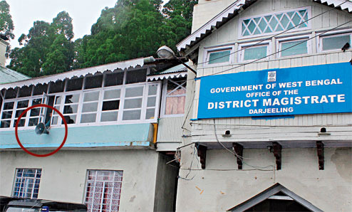 Darjeeling District Magistrate