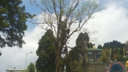Darjeeling Chowrasta