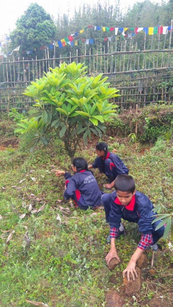 Congress Primary School World Environment Day