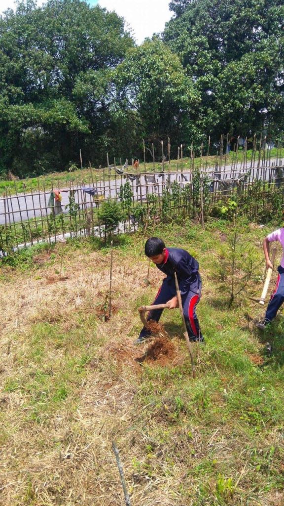 Clean Darjeeling