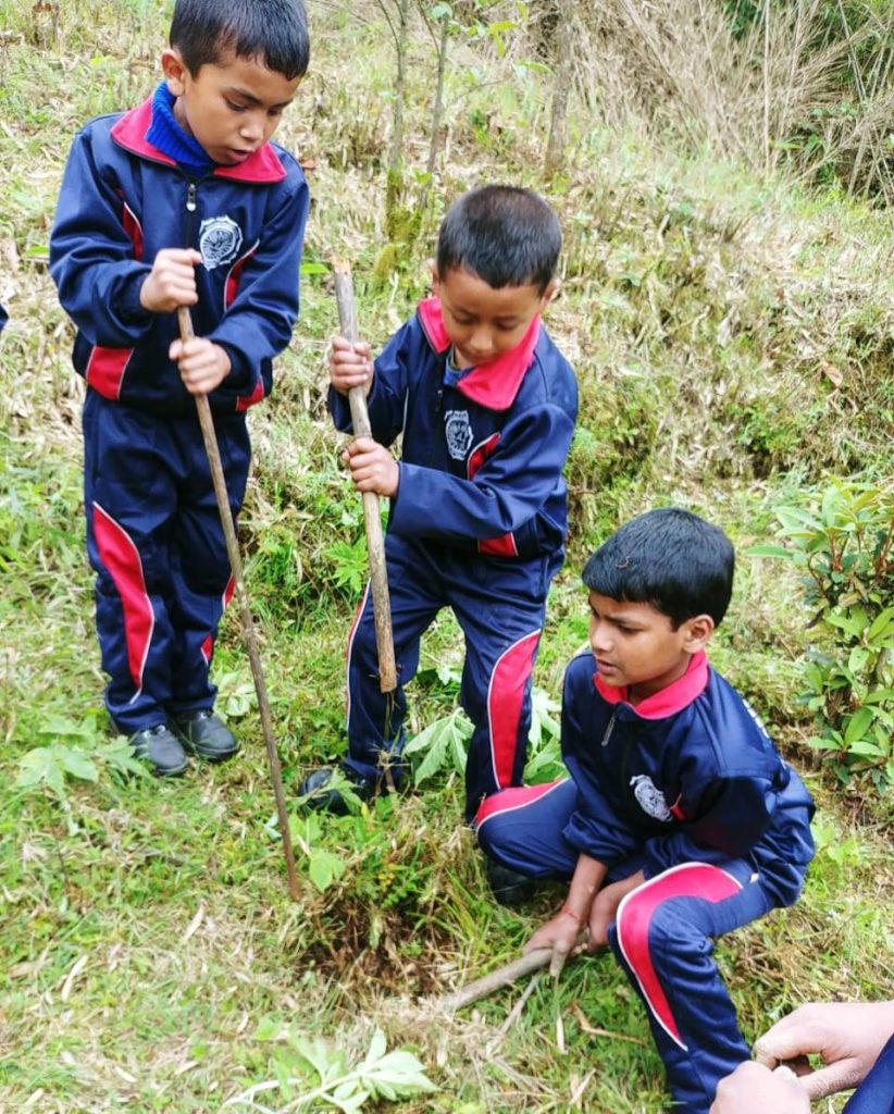 Tiger Hill, World Environment Day