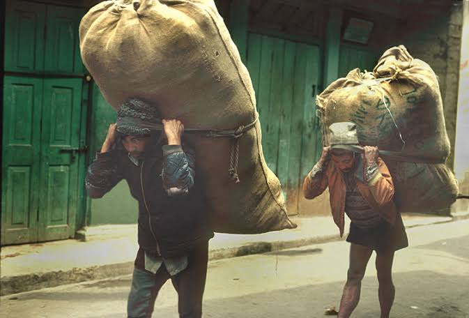 Darjeeling Labour
