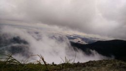 Monsoon