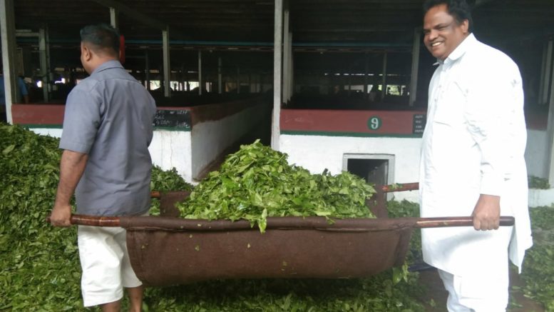 John Barla at Lakhra Tea Estate