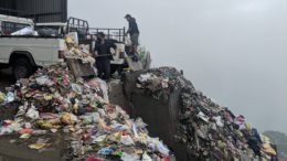 Plastic Bag Darjeeling
