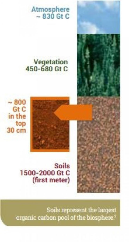 UNCCD Science Policy Interface