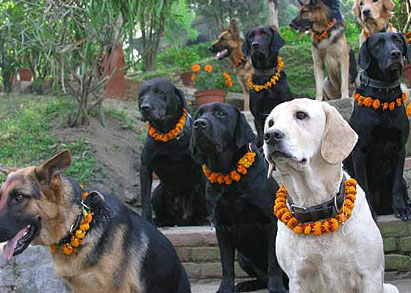 Kukur Tihar