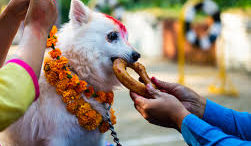 kukur tihar