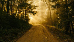 Light