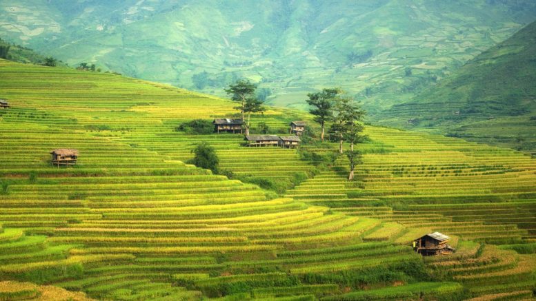 World Environment Day