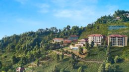 Tea Tourism