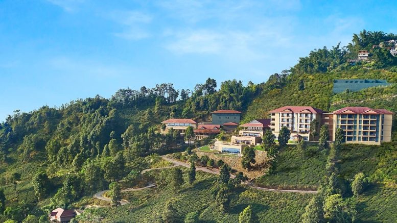 Tea Tourism