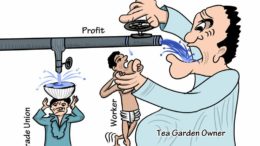 Rethinking the tea industry