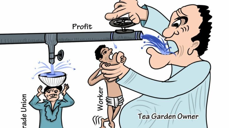 Rethinking the tea industry