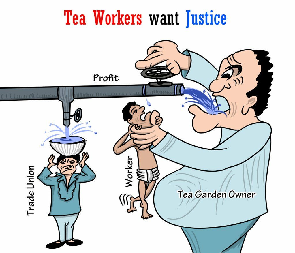 Rethinking the tea industry