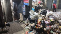 World Environment Day