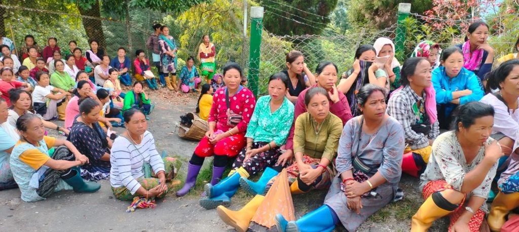 Darjeeling Tea Garden Workers