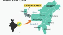 Pandora Chicken Neck