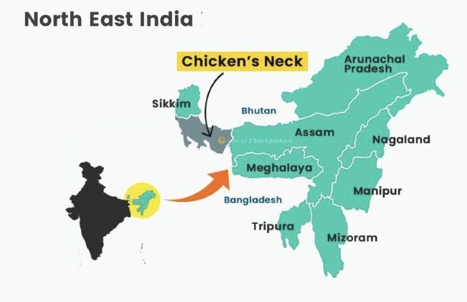 Pandora Chicken Neck