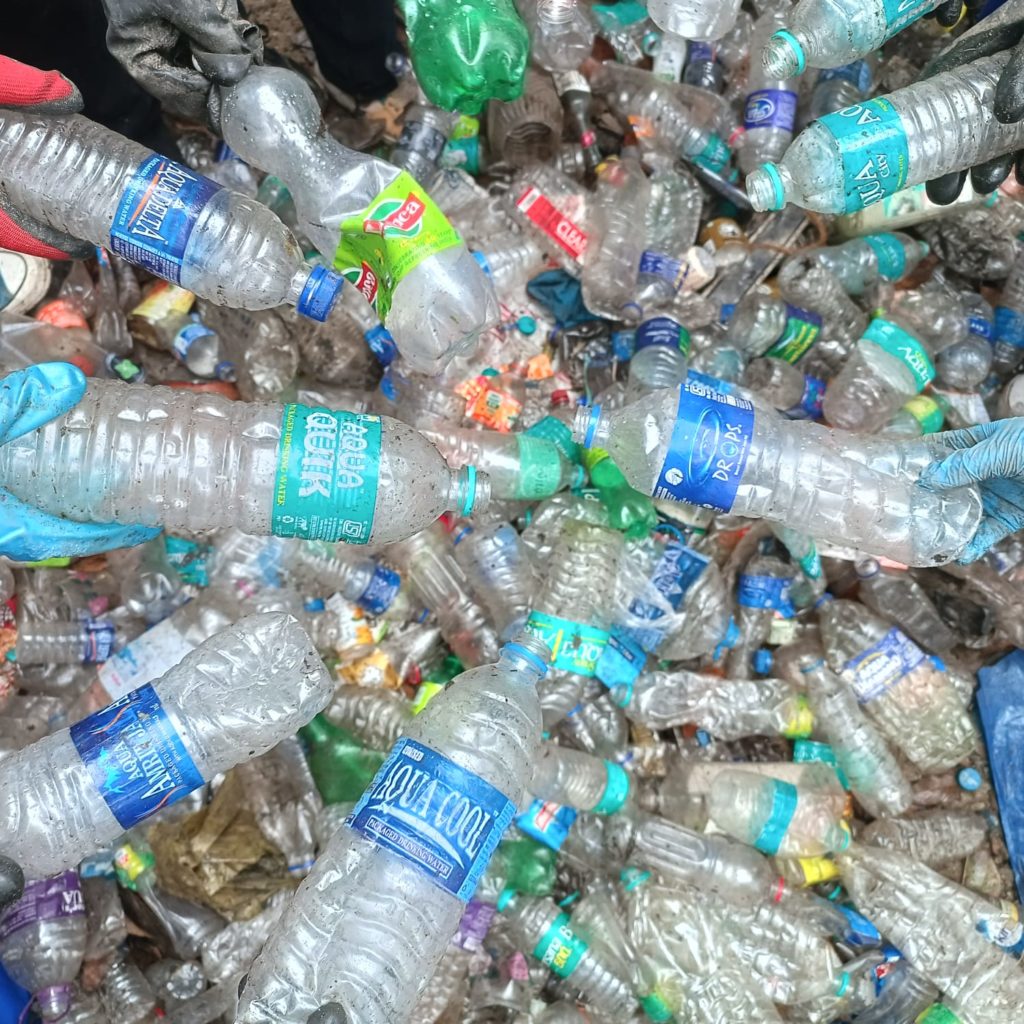 World Environment Day