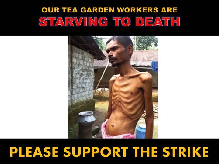 The hills deserve better