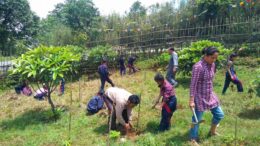 Beyond Planting Trees - Students of Congress School, Jorebunglow